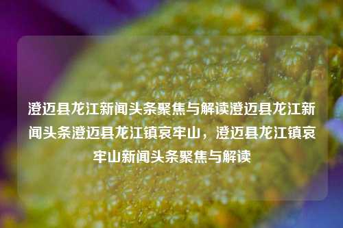 澄迈县龙江新闻头条聚焦与解读澄迈县龙江新闻头条澄迈县龙江镇哀牢山，澄迈县龙江镇哀牢山新闻头条聚焦与解读，澄迈县龙江镇哀牢山新闻头条聚焦与解读