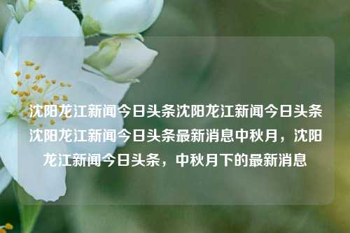 沈阳龙江新闻今日头条沈阳龙江新闻今日头条沈阳龙江新闻今日头条最新消息中秋月，沈阳龙江新闻今日头条，中秋月下的最新消息，沈阳龙江新闻中秋月下的最新消息