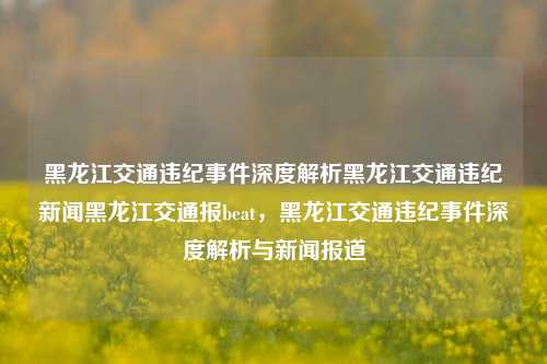 黑龙江交通违纪事件深度解析黑龙江交通违纪新闻黑龙江交通报beat，黑龙江交通违纪事件深度解析与新闻报道，黑龙江交通违纪事件深度解析与新闻报道，探寻背后的原因与影响