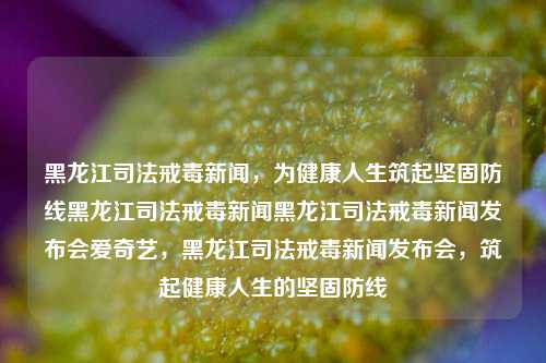 黑龙江司法戒毒新闻，为健康人生筑起坚固防线黑龙江司法戒毒新闻黑龙江司法戒毒新闻发布会爱奇艺，黑龙江司法戒毒新闻发布会，筑起健康人生的坚固防线，黑龙江司法戒毒新闻发布会，构筑健康人生的坚固防线