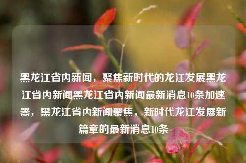 黑龙江省内新闻，聚焦新时代的龙江发展黑龙江省内新闻黑龙江省内新闻最新消息10条加速器，黑龙江省内新闻聚焦，新时代龙江发展新篇章的最新消息10条，黑龙江新时代龙江发展新篇章的新闻聚焦与最新消息十条