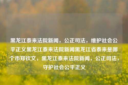 黑龙江泰来法院新闻，公正司法，维护社会公平正义黑龙江泰来法院新闻黑龙江省泰来是哪个市郑钦文，黑龙江泰来法院新闻，公正司法，守护社会公平正义，黑龙江泰来法院新闻，公正司法，守护社会公平正义