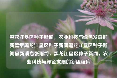 黑龙江垦区种子新闻，农业科技与绿色发展的新篇章黑龙江垦区种子新闻黑龙江垦区种子新闻最新消息张雨绮，黑龙江垦区种子新闻，农业科技与绿色发展的新里程碑，黑龙江垦区种子新闻，农业科技引领绿色发展新篇章