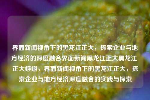 界面新闻视角下的黑龙江正大，探索企业与地方经济的深度融合界面新闻黑龙江正大黑龙江 正大蜉蝣，界面新闻视角下的黑龙江正大，探索企业与地方经济深度融合的实践与探索，界面新闻视角下的黑龙江正大，企业与地方经济深度融合的实践探索