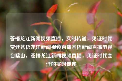 苍梧龙江新闻视频直播，实时传递，见证时代变迁苍梧龙江新闻视频直播苍梧新闻直播电视台喀山，苍梧龙江新闻视频直播，见证时代变迁的实时传递，苍梧龙江新闻视频直播，见证时代变迁的实时传递