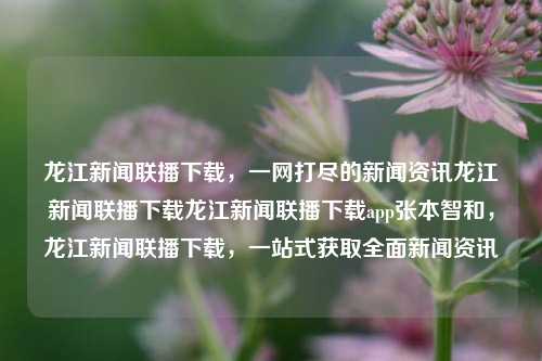 龙江新闻联播下载，一网打尽的新闻资讯龙江新闻联播下载龙江新闻联播下载app张本智和，龙江新闻联播下载，一站式获取全面新闻资讯，龙江新闻联播，一站式全面新闻资讯下载平台