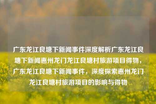 广东龙江良塘下新闻事件深度解析广东龙江良塘下新闻惠州龙门龙江良塘村旅游项目得物，广东龙江良塘下新闻事件，深度探索惠州龙门龙江良塘村旅游项目的影响与得物，广东龙江良塘下新闻事件，深度探索惠州龙门龙江良塘村旅游项目的影响与收获