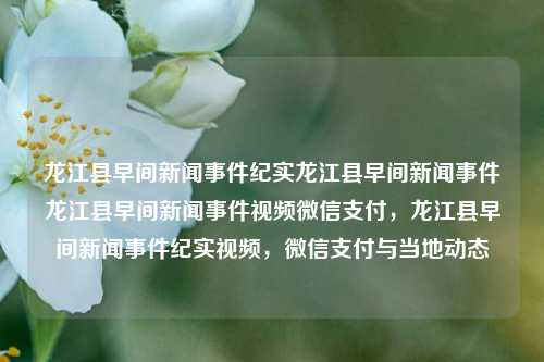 龙江县早间新闻事件纪实龙江县早间新闻事件龙江县早间新闻事件视频微信支付，龙江县早间新闻事件纪实视频，微信支付与当地动态，龙江县早间新闻事件纪实，微信支付与当地动态的紧密连接