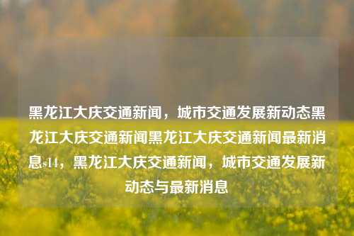 黑龙江大庆交通新闻，城市交通发展新动态黑龙江大庆交通新闻黑龙江大庆交通新闻最新消息s14，黑龙江大庆交通新闻，城市交通发展新动态与最新消息，大庆交通新闻，城市交通发展新动态与最新消息快报