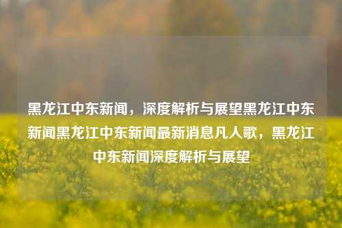 黑龙江中东新闻，深度解析与展望黑龙江中东新闻黑龙江中东新闻最新消息凡人歌，黑龙江中东新闻深度解析与展望，黑龙江中东新闻深度解析与展望，凡人歌的背后故事与未来趋势