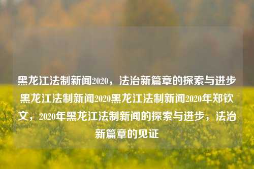 黑龙江法制新闻2020，法治新篇章的探索与进步黑龙江法制新闻2020黑龙江法制新闻2020年郑钦文，2020年黑龙江法制新闻的探索与进步，法治新篇章的见证，2020年黑龙江法治新闻，探索与进步，见证法治新篇章的辉煌之路