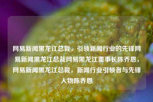 网易新闻黑龙江总裁，引领新闻行业的先锋网易新闻黑龙江总裁网易黑龙江董事长陈乔恩，网易新闻黑龙江总裁，新闻行业引领者与先锋人物陈乔恩，网易新闻黑龙江总裁陈乔恩，新闻行业引领者与先锋人物