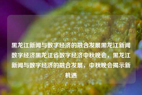 黑龙江新闻与数字经济的融合发展黑龙江新闻数字经济黑龙江省数字经济中秋晚会，黑龙江新闻与数字经济的融合发展，中秋晚会揭示新机遇，黑龙江新闻与数字经济的融合发展，中秋晚会揭示新机遇