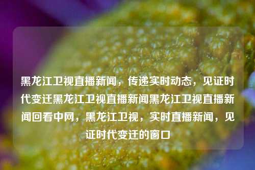 黑龙江卫视直播新闻，传递实时动态，见证时代变迁黑龙江卫视直播新闻黑龙江卫视直播新闻回看中网，黑龙江卫视，实时直播新闻，见证时代变迁的窗口，黑龙江卫视，实时直播新闻，见证时代变迁的窗口