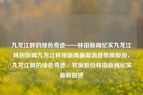 九龙江畔的绿色奇迹——林田新闻纪实九龙江林田新闻九龙江林田新闻最新消息牧原股份，九龙江畔的绿色奇迹，牧原股份林田新闻纪实最新报道，九龙江畔的绿色奇迹，牧原股份林田新闻纪实最新报道