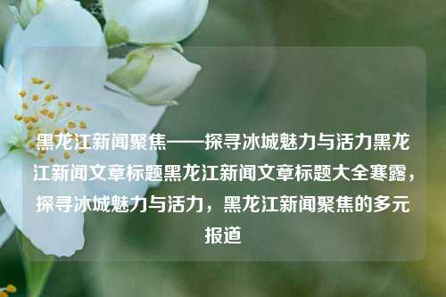 黑龙江新闻聚焦——探寻冰城魅力与活力黑龙江新闻文章标题黑龙江新闻文章标题大全寒露，探寻冰城魅力与活力，黑龙江新闻聚焦的多元报道，寒露时节，探寻冰城魅力与活力——黑龙江新闻多元聚焦报道