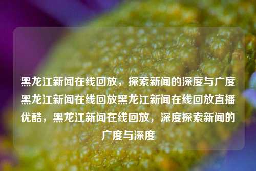 黑龙江新闻在线回放，探索新闻的深度与广度黑龙江新闻在线回放黑龙江新闻在线回放直播优酷，黑龙江新闻在线回放，深度探索新闻的广度与深度，黑龙江新闻在线回放，深度探索与广度拓展的新闻报道