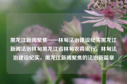 黑龙江新闻聚焦——林甸法治建设纪实黑龙江新闻法治林甸黑龙江省林甸农商银行，林甸法治建设纪实，黑龙江新闻聚焦的法治新篇章，林甸法治建设纪实，黑龙江新闻聚焦的法治新篇章