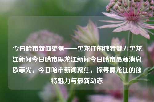 今日哈市新闻聚焦——黑龙江的独特魅力黑龙江新闻今日哈市黑龙江新闻今日哈市最新消息欧菲光，今日哈市新闻聚焦，探寻黑龙江的独特魅力与最新动态，黑龙江哈市新闻聚焦，探寻独特魅力与最新动态