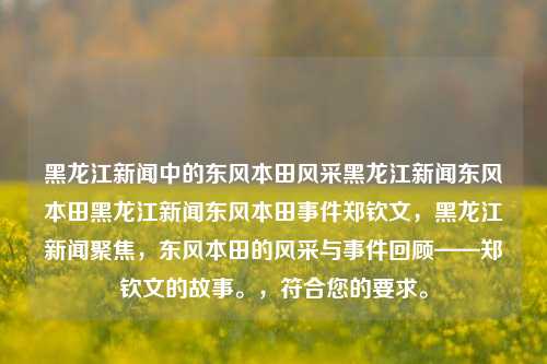 黑龙江新闻中的东风本田风采黑龙江新闻东风本田黑龙江新闻东风本田事件郑钦文，黑龙江新闻聚焦，东风本田的风采与事件回顾——郑钦文的故事。，符合您的要求。，黑龙江新闻中的东风本田风采与郑钦文的故事回顾