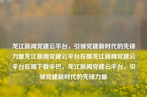 龙江新闻党建云平台，引领党建新时代的先锋力量龙江新闻党建云平台在哪龙江新闻党建云平台在哪下载辛巴，龙江新闻党建云平台，引领党建新时代的先锋力量，龙江新闻党建云平台，引领党建新时代的先锋力量