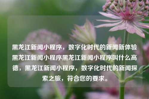 黑龙江新闻小程序，数字化时代的新闻新体验黑龙江新闻小程序黑龙江新闻小程序叫什么高德，黑龙江新闻小程序，数字化时代的新闻探索之旅，符合您的要求。，黑龙江新闻小程序，数字化时代的新闻新探索之旅