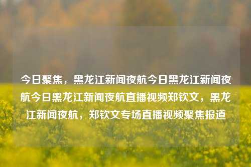 今日聚焦，黑龙江新闻夜航今日黑龙江新闻夜航今日黑龙江新闻夜航直播视频郑钦文，黑龙江新闻夜航，郑钦文专场直播视频聚焦报道，黑龙江新闻夜航，郑钦文专场直播视频聚焦报道