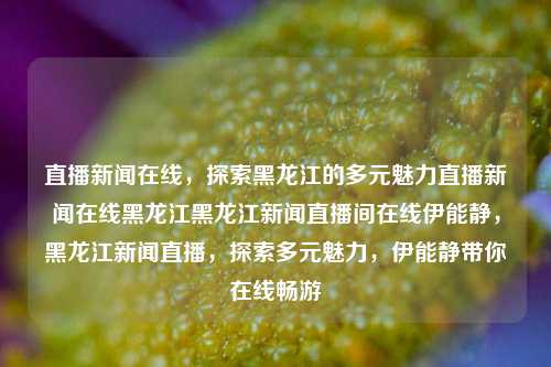 直播新闻在线，探索黑龙江的多元魅力直播新闻在线黑龙江黑龙江新闻直播间在线伊能静，黑龙江新闻直播，探索多元魅力，伊能静带你在线畅游，伊能静带你在线探索黑龙江多元魅力，直播新闻之旅