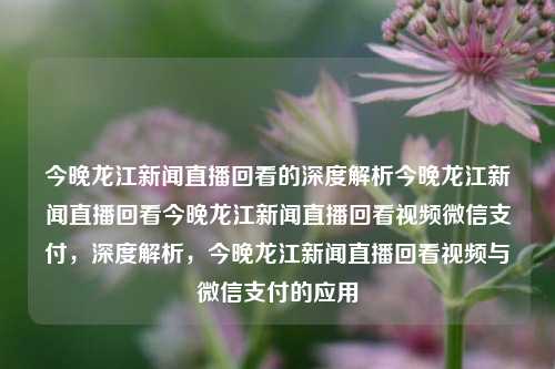 今晚龙江新闻直播回看的深度解析今晚龙江新闻直播回看今晚龙江新闻直播回看视频微信支付，深度解析，今晚龙江新闻直播回看视频与微信支付的应用，龙江新闻直播回看深度解析，微信支付在新闻视频中的应用与探讨