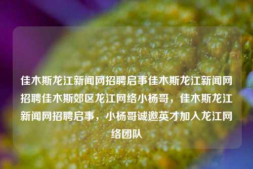 佳木斯龙江新闻网招聘启事佳木斯龙江新闻网招聘佳木斯郊区龙江网络小杨哥，佳木斯龙江新闻网招聘启事，小杨哥诚邀英才加入龙江网络团队，佳木斯龙江新闻网招聘小杨哥团队成员启事