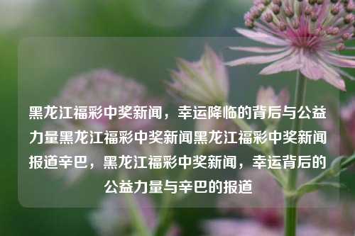 黑龙江福彩中奖新闻，幸运降临的背后与公益力量黑龙江福彩中奖新闻黑龙江福彩中奖新闻报道辛巴，黑龙江福彩中奖新闻，幸运背后的公益力量与辛巴的报道，黑龙江福彩中奖新闻，幸运背后的公益力量与辛巴的报道