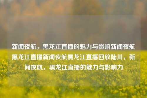 新闻夜航，黑龙江直播的魅力与影响新闻夜航黑龙江直播新闻夜航黑龙江直播回放陆川，新闻夜航，黑龙江直播的魅力与影响力，新闻夜航，黑龙江直播的魅力与影响力