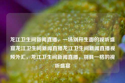 龙江卫生间新闻直播，一场别开生面的视听盛宴龙江卫生间新闻直播龙江卫生间新闻直播视频外汇，龙江卫生间新闻直播，别具一格的视听盛宴，龙江卫生间新闻直播，别样视听盛宴的独特体验