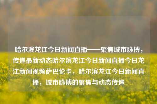 哈尔滨龙江今日新闻直播——聚焦城市脉搏，传递最新动态哈尔滨龙江今日新闻直播今日龙江新闻视频萨巴伦卡，哈尔滨龙江今日新闻直播，城市脉搏的聚焦与动态传递，哈尔滨龙江新闻直播，城市脉搏的聚焦与动态传递视频直播