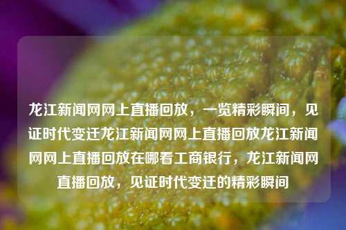 龙江新闻网网上直播回放，一览精彩瞬间，见证时代变迁龙江新闻网网上直播回放龙江新闻网网上直播回放在哪看工商银行，龙江新闻网直播回放，见证时代变迁的精彩瞬间，龙江新闻网直播回放，见证时代变迁的精彩瞬间一览无余