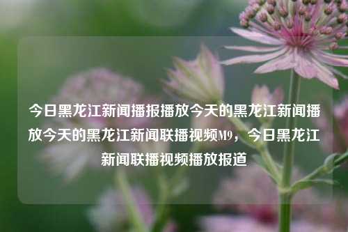 今日黑龙江新闻播报播放今天的黑龙江新闻播放今天的黑龙江新闻联播视频M9，今日黑龙江新闻联播视频播放报道，今日黑龙江新闻联播视频M9，实时新闻播报