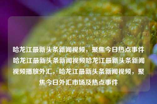 哈龙江最新头条新闻视频，聚焦今日热点事件哈龙江最新头条新闻视频哈龙江最新头条新闻视频播放外汇，哈龙江最新头条新闻视频，聚焦今日外汇市场及热点事件，哈龙江今日新闻视频聚焦，热点事件与外汇市场动态