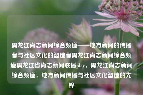 黑龙江尚志新闻综合频道——地方新闻的传播者与社区文化的塑造者黑龙江尚志新闻综合频道黑龙江省尚志新闻联播play，黑龙江尚志新闻综合频道，地方新闻传播与社区文化塑造的先锋，黑龙江尚志新闻综合频道，地方新闻传播与社区文化塑造的先锋力量