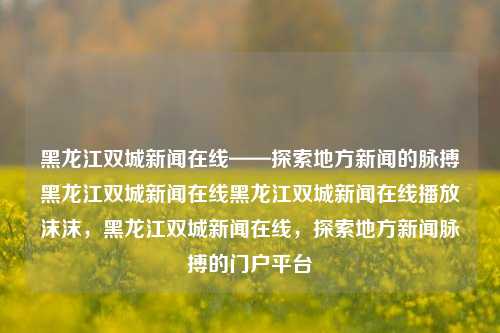 黑龙江双城新闻在线——探索地方新闻的脉搏黑龙江双城新闻在线黑龙江双城新闻在线播放沫沫，黑龙江双城新闻在线，探索地方新闻脉搏的门户平台，黑龙江双城新闻在线，地方新闻脉搏的门户平台