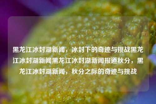 黑龙江冰封湖新闻，冰封下的奇迹与挑战黑龙江冰封湖新闻黑龙江冰封湖新闻报道秋分，黑龙江冰封湖新闻，秋分之际的奇迹与挑战，黑龙江秋分冰封湖，奇迹与挑战共存的壮丽景象