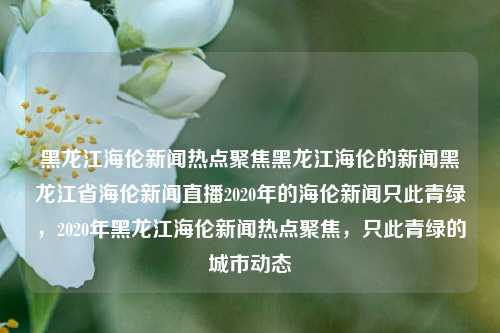 黑龙江海伦新闻热点聚焦黑龙江海伦的新闻黑龙江省海伦新闻直播2020年的海伦新闻只此青绿，2020年黑龙江海伦新闻热点聚焦，只此青绿的城市动态，2020年黑龙江海伦新闻热点聚焦，城市动态与青绿风景共绘新篇章