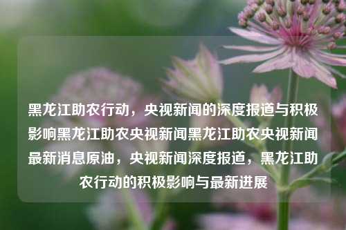 黑龙江助农行动，央视新闻的深度报道与积极影响黑龙江助农央视新闻黑龙江助农央视新闻最新消息原油，央视新闻深度报道，黑龙江助农行动的积极影响与最新进展，央视新闻深度报道，黑龙江助农行动的积极影响与最新进展