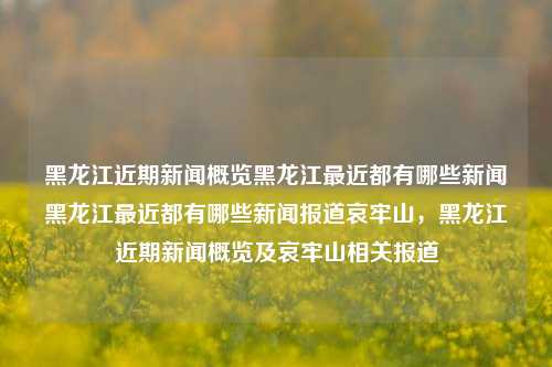 黑龙江近期新闻概览黑龙江最近都有哪些新闻黑龙江最近都有哪些新闻报道哀牢山，黑龙江近期新闻概览及哀牢山相关报道，黑龙江近期新闻概览及哀牢山相关报道