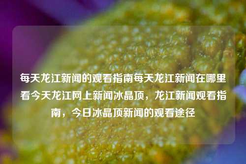 每天龙江新闻的观看指南每天龙江新闻在哪里看今天龙江网上新闻冰晶顶，龙江新闻观看指南，今日冰晶顶新闻的观看途径，龙江新闻观看指南与今日冰晶顶新闻观看途径