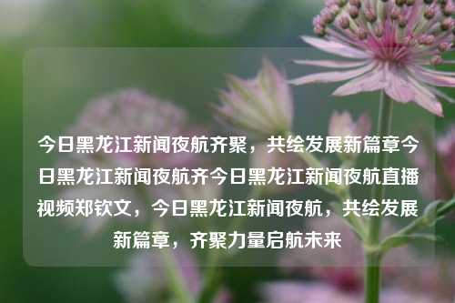 今日黑龙江新闻夜航齐聚，共绘发展新篇章今日黑龙江新闻夜航齐今日黑龙江新闻夜航直播视频郑钦文，今日黑龙江新闻夜航，共绘发展新篇章，齐聚力量启航未来，今日黑龙江新闻夜航，共绘发展蓝图，齐聚力量启航未来