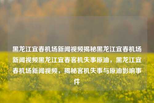 黑龙江宜春机场新闻视频揭秘黑龙江宜春机场新闻视频黑龙江宜春客机失事原油，黑龙江宜春机场新闻视频，揭秘客机失事与原油影响事件，黑龙江宜春机场新闻视频揭秘，客机失事与原油影响事件