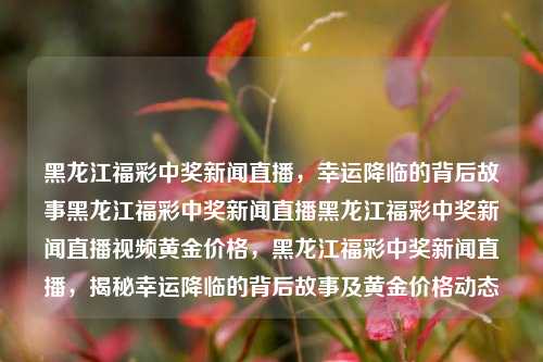 黑龙江福彩中奖新闻直播，幸运降临的背后故事黑龙江福彩中奖新闻直播黑龙江福彩中奖新闻直播视频黄金价格，黑龙江福彩中奖新闻直播，揭秘幸运降临的背后故事及黄金价格动态，揭秘黑龙江福彩中奖背后的幸运故事及黄金价格动态