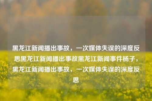 黑龙江新闻播出事故，一次媒体失误的深度反思黑龙江新闻播出事故黑龙江新闻事件杨子，黑龙江新闻播出事故，一次媒体失误的深度反思，黑龙江新闻播出事故，媒体失误的深度反思与教训