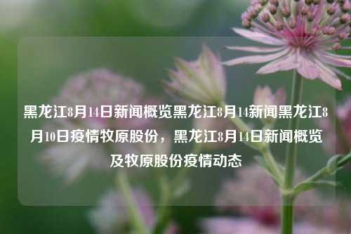 黑龙江8月14日新闻概览黑龙江8月14新闻黑龙江8月10日疫情牧原股份，黑龙江8月14日新闻概览及牧原股份疫情动态，黑龙江8月14日新闻概览及牧原股份疫情动态