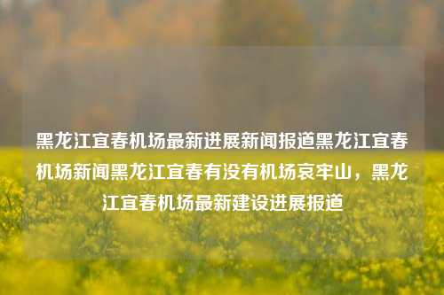 黑龙江宜春机场最新进展新闻报道黑龙江宜春机场新闻黑龙江宜春有没有机场哀牢山，黑龙江宜春机场最新建设进展报道，黑龙江宜春机场最新建设进展报道